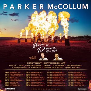 Burn-It-Down-Tour-2024