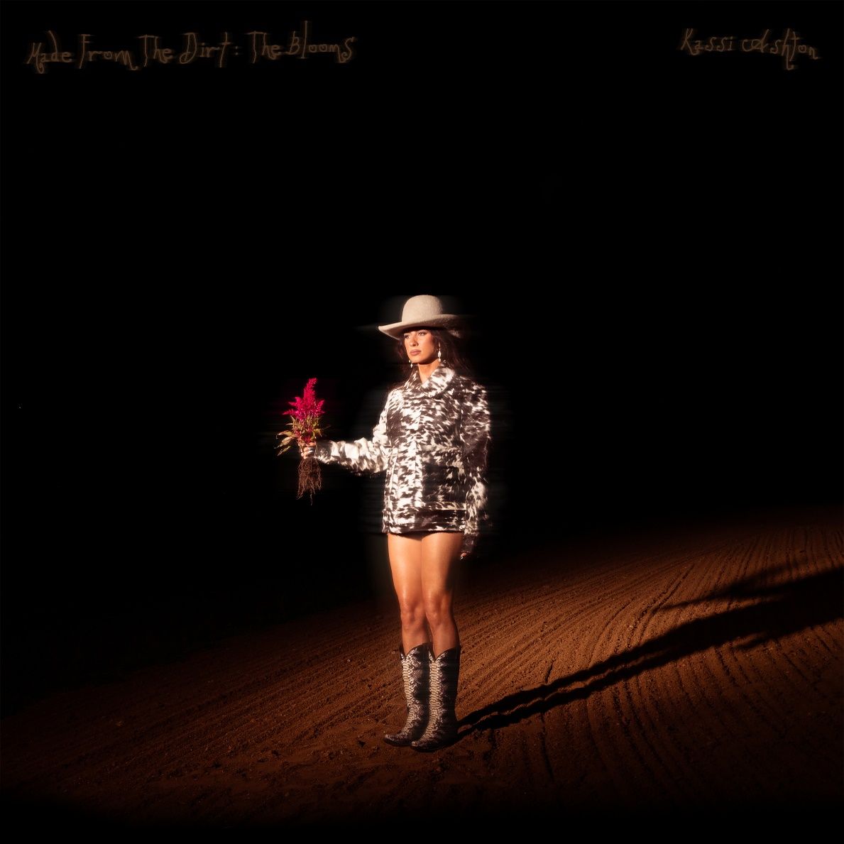 KASSI ASHTON BLOSSOMS ON DELUXE ALBUM ‘MADE FROM THE DIRT: THE BLOOMS’